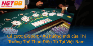 Ca Cuoc E Sport Xu Huong Moi Cua Thi Truong The Thao Ien Tu Tai Viet Nam