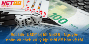 Rut Tien Usdt Bi Loi Net88 Nguyen Nhan Va Cach Xu Ly Kip Thoi E Bao Ve Tai San Cua Ban 2