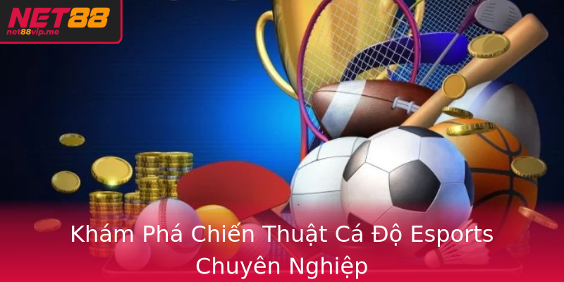 Khám Phá Chiến Thuật Cá Độ Esports Chuyên Nghiệp