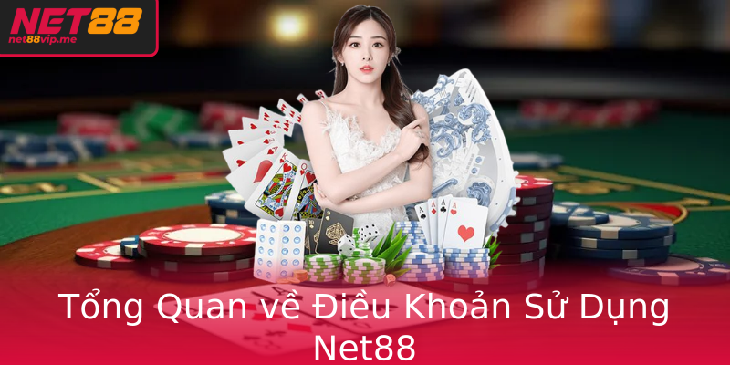 Tong Quan Ve Ieu Khoan Su Dung Net88