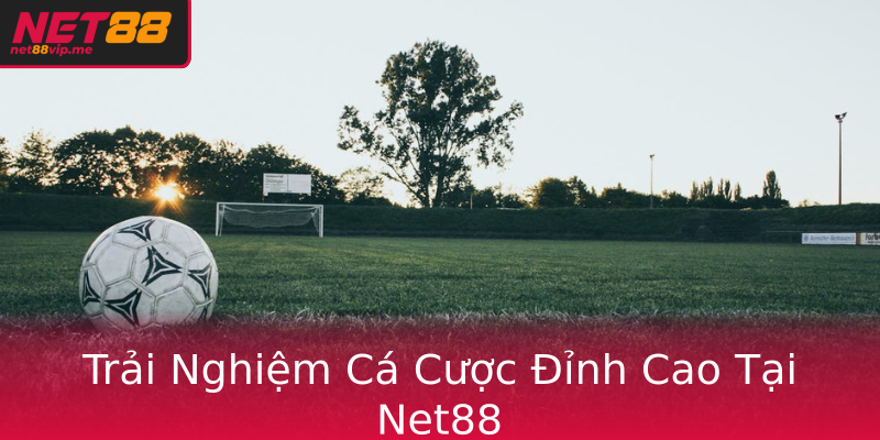 Trải Nghiệm Cá Cược Đỉnh Cao Tại Net88